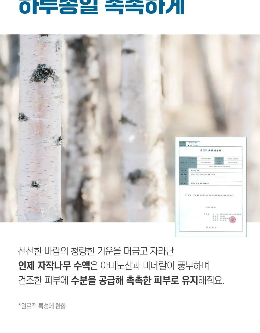 [속수분크림/리필] 라운드랩 자작나무 수분 크림 50ml 리필팩 상세페이지 12